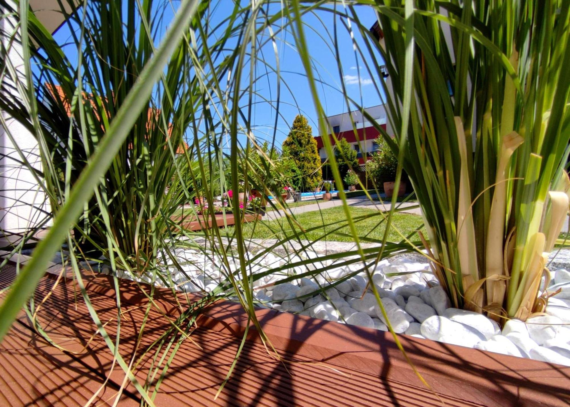 Appartement/Ferienhaus Sonnenhain Sollenau Exterior foto