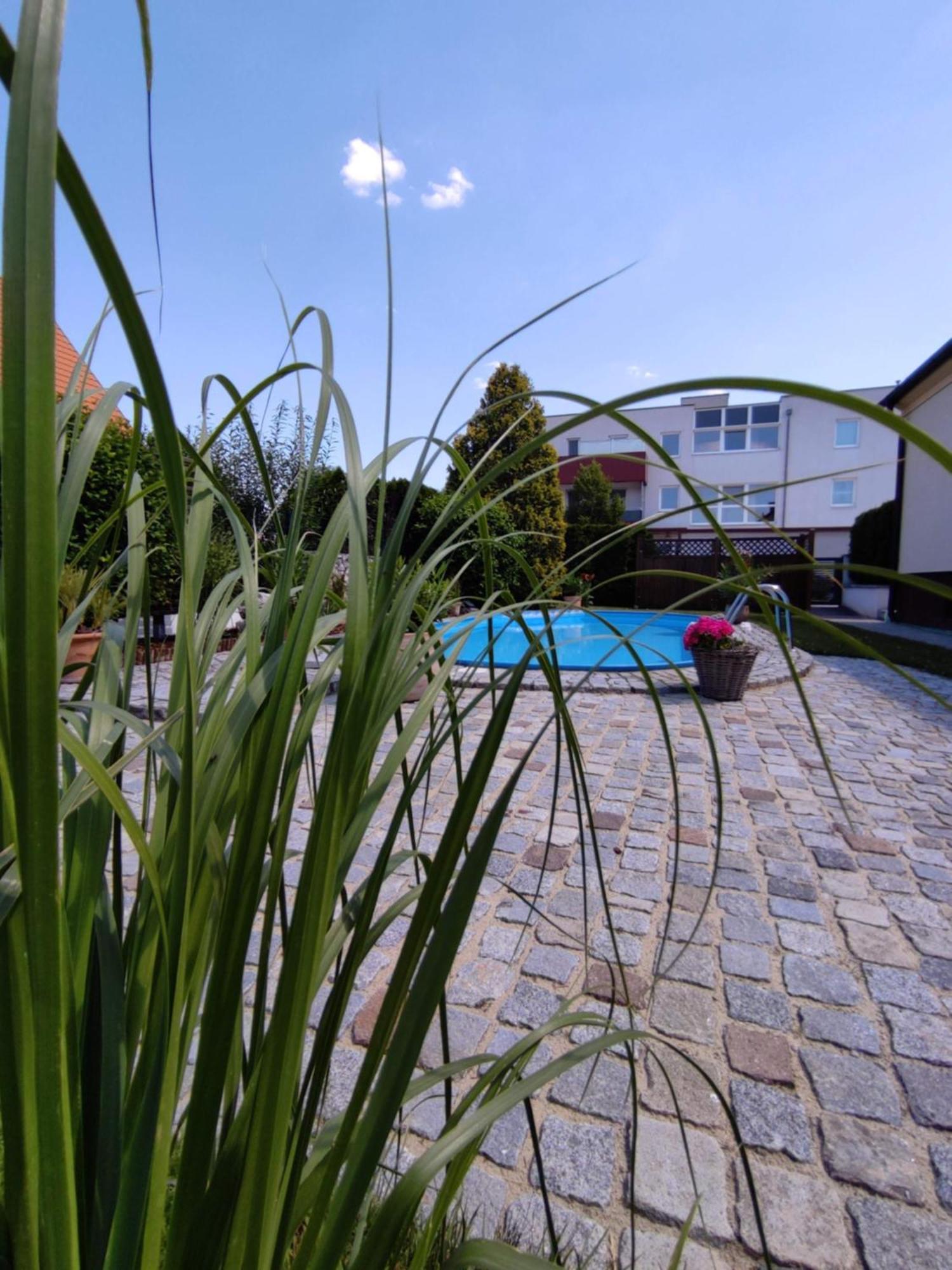Appartement/Ferienhaus Sonnenhain Sollenau Exterior foto